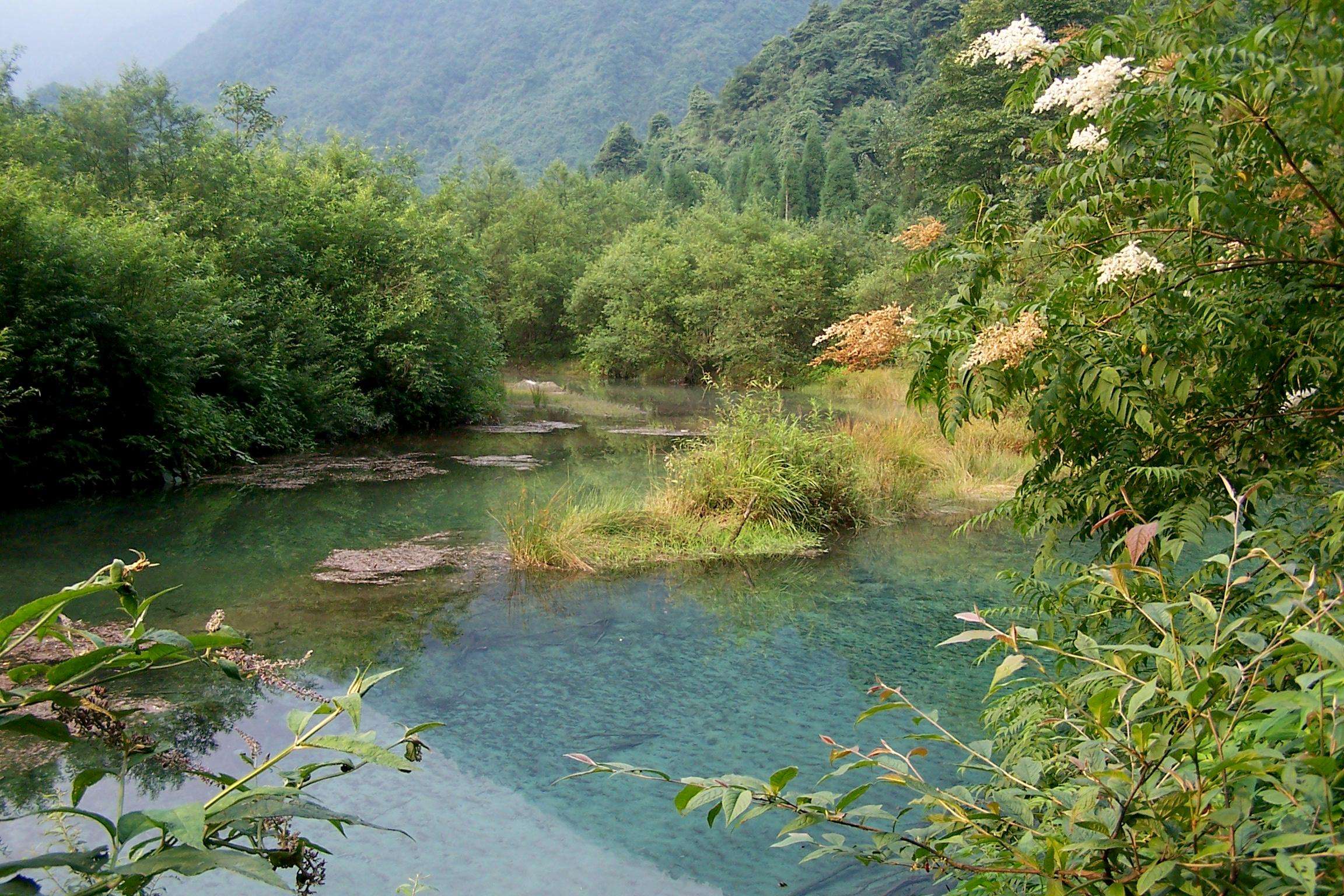 四川景点 成都白水河自然保护区